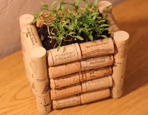 DIY Cork Container for Plants