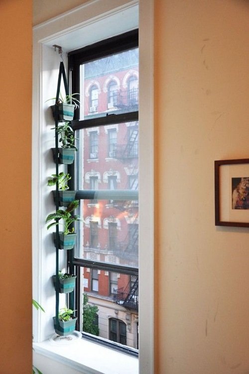 20 Indoor Window Propagation Station Ideas 15
