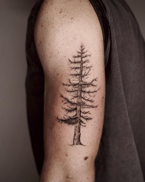 Spiritual Pine Tree