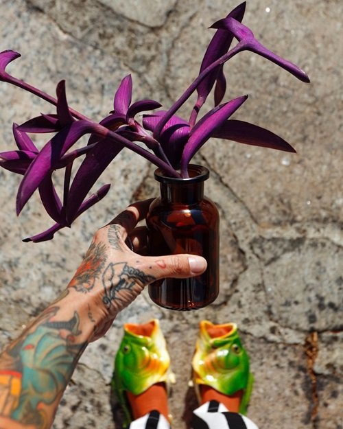 Purple Plants in Jars