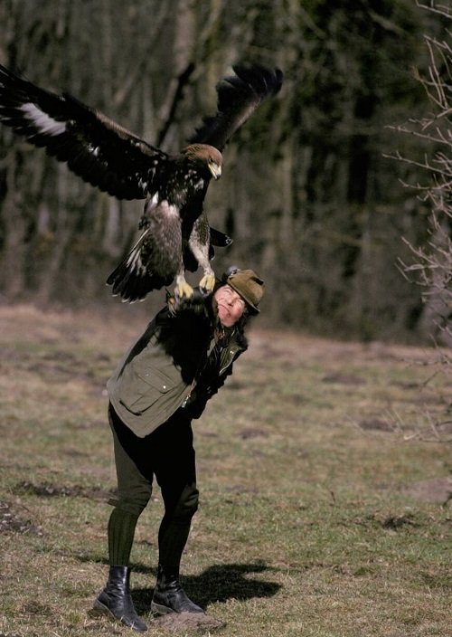 What Does It Mean When an Eagle Flies Over You