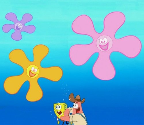Are SpongeBob Flowers Real