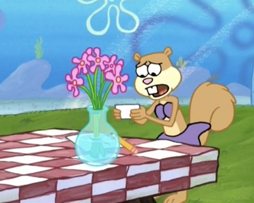 Are SpongeBob Flowers Real or not