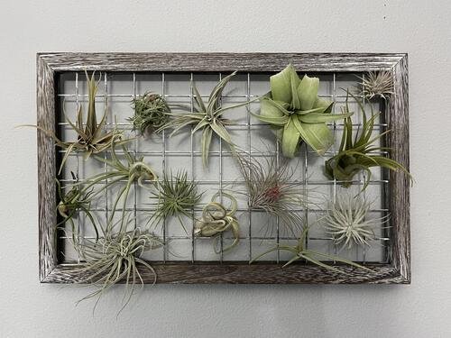 Framed Wire Mesh for the Wall Ideas to Display Them in Style