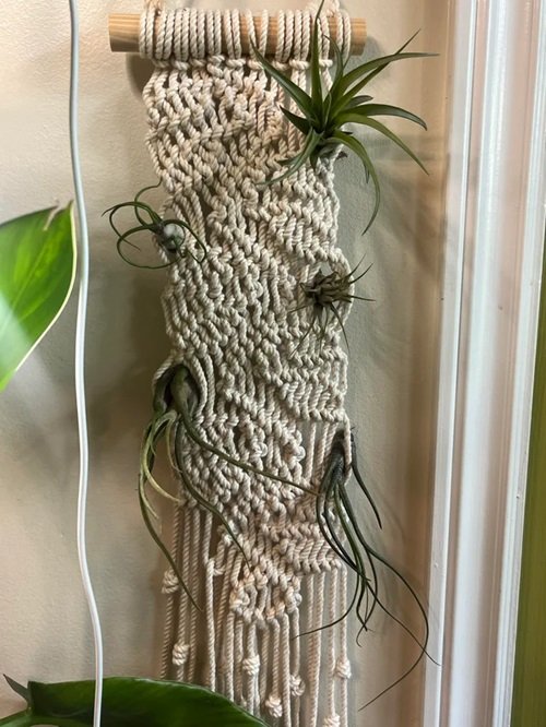 In a Macrame Mesh Ideas to Display Them in Style