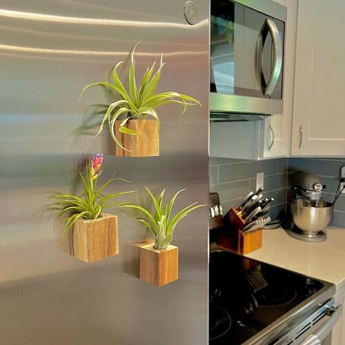  On the Refrigerator Ideas to Display Them in Style