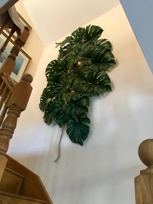 Monstera on side staircase