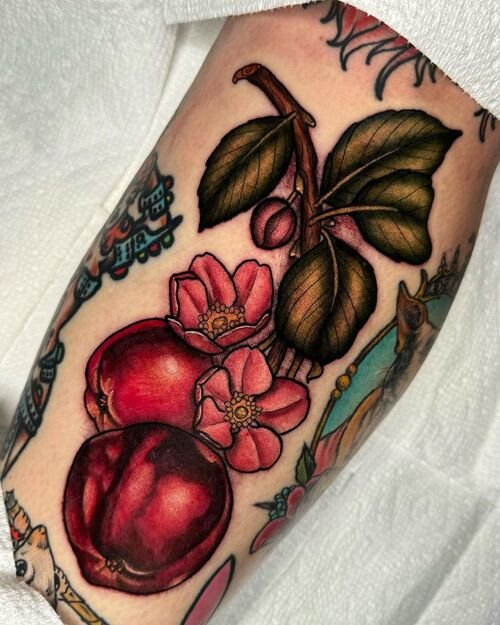 Apples and Apple Blossoms