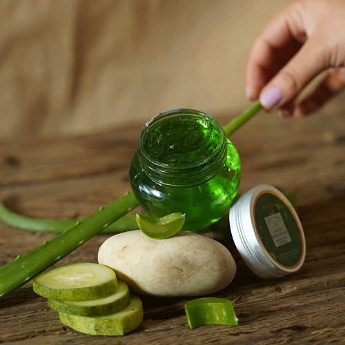 Amazing Things You Can Do With An Aloe Plant after shave blam