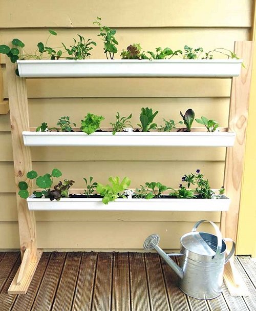 best Indoor Vertical Gardening ideas 1