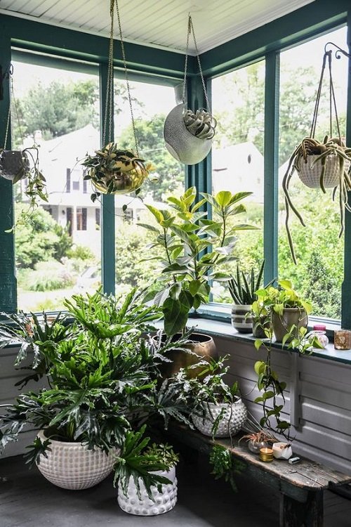 Indoor Gardening Resolutions 14