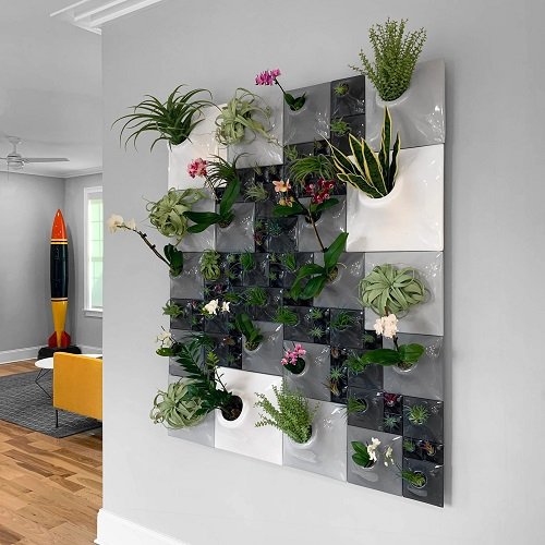 Living Wall Indoor Vertical Garden 