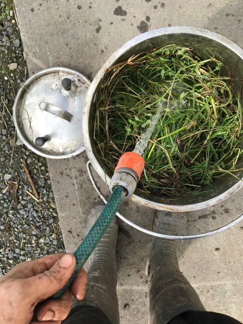 grass clipping fertilizer
