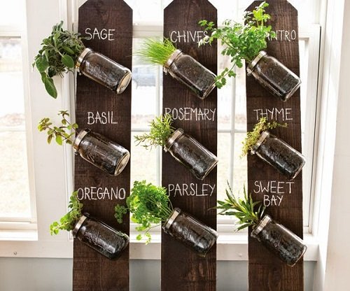 finest Indoor Vertical Gardening ideas 