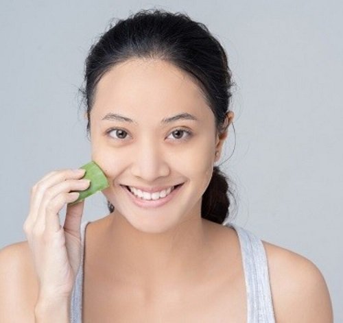 Fascinating Things with an Aloe Plant Remove make up