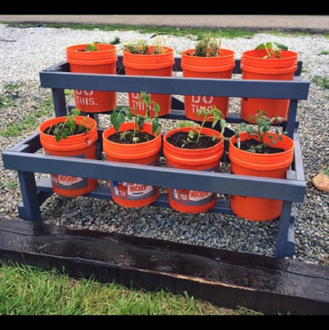 Flower Display Stand With orange Buckets 