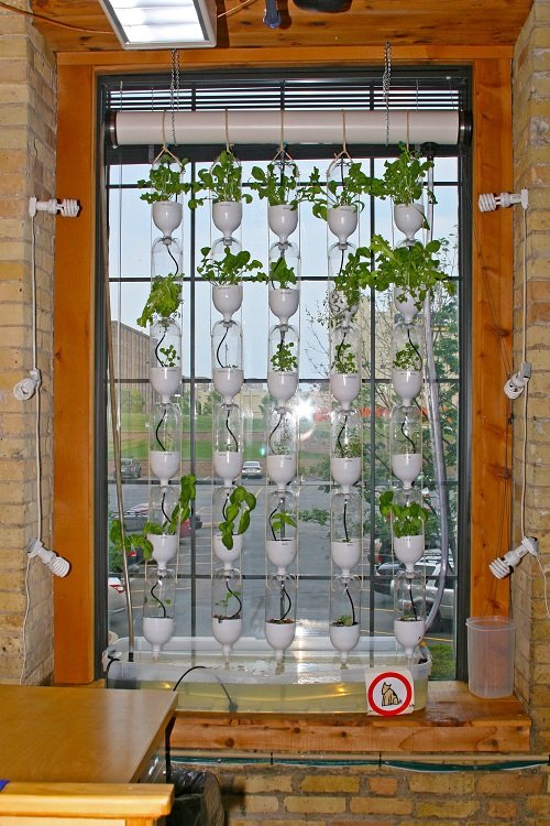best Indoor Vertical Gardening ideas 2