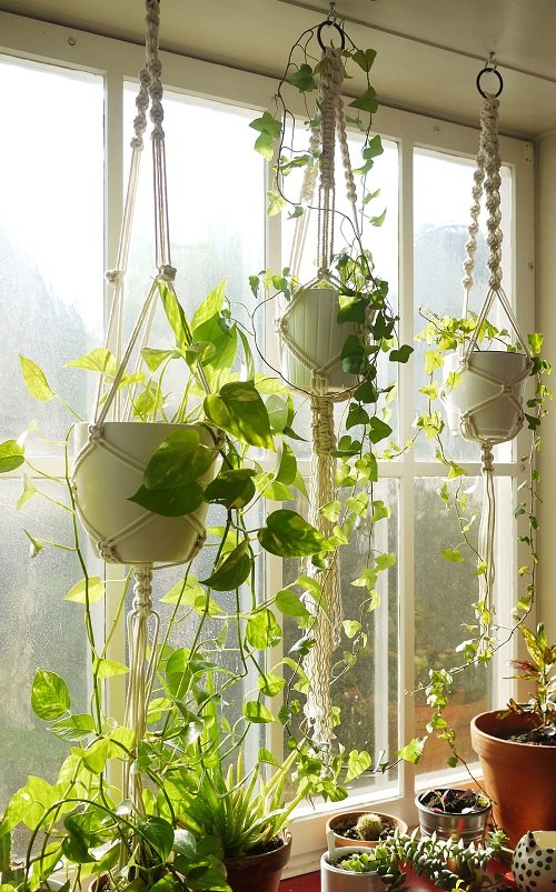 Macrame Hangers on Ceiling Hooks Indoor Vertical Garden 