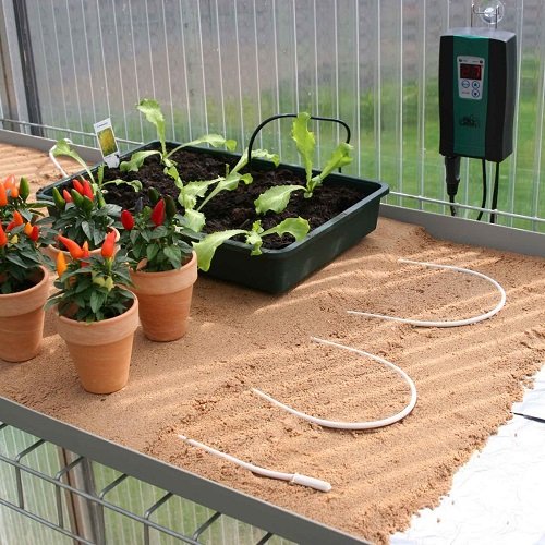 Warm Sand Bed for Plants Successfully in Fall and Winter