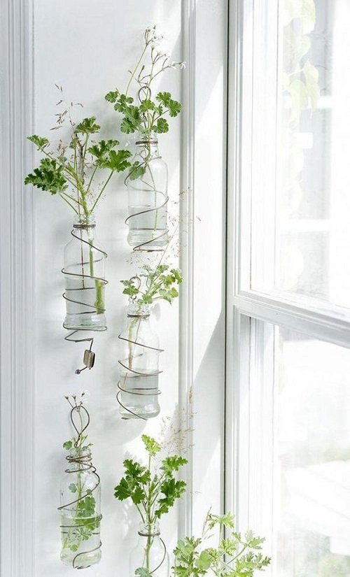 Ideas for Indoor Plants in Water Walls