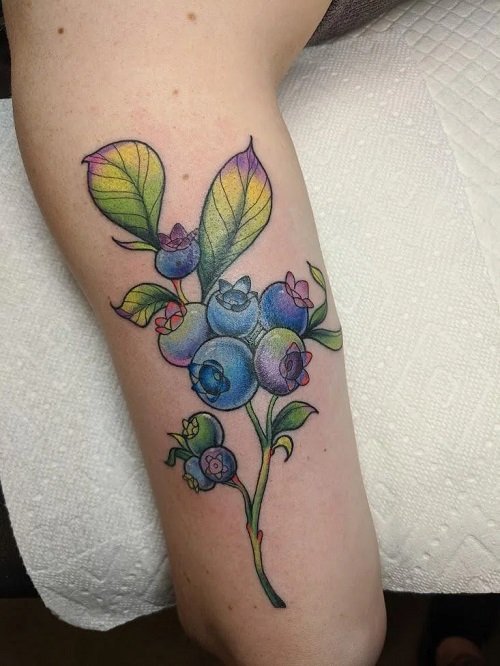 Blueberry tattoo design 