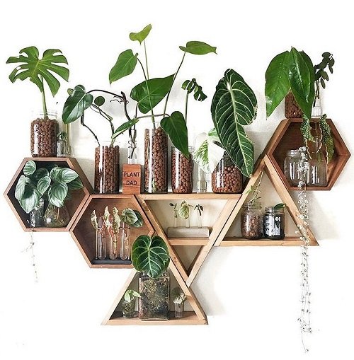 Indoor Plants for Water Wall Designs 2