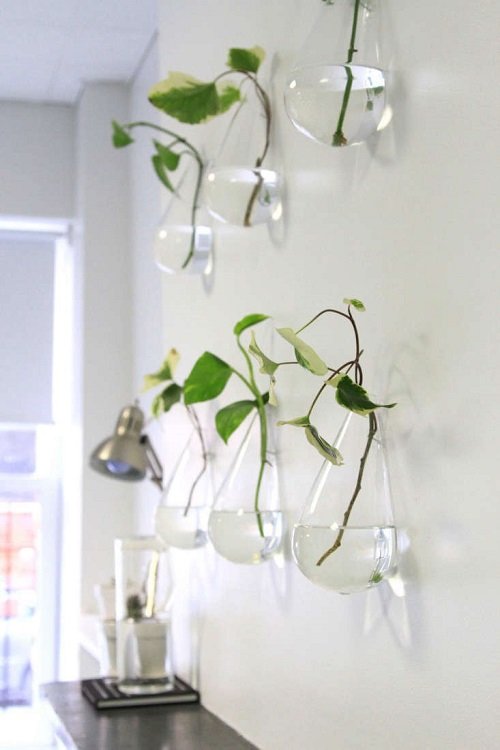 Water Wall Ideas with Indoor Plants