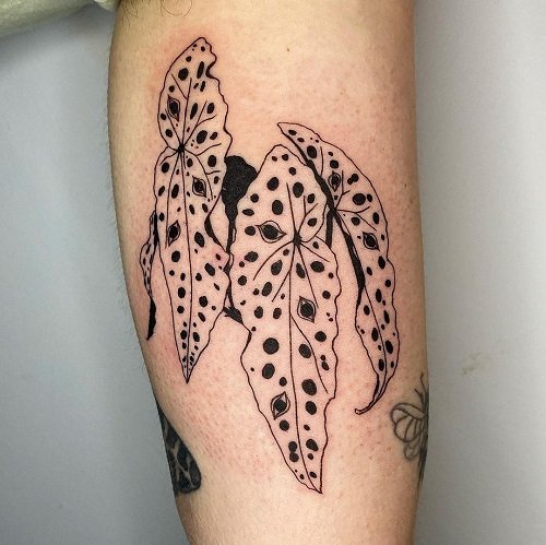 begonia tattoo designs 