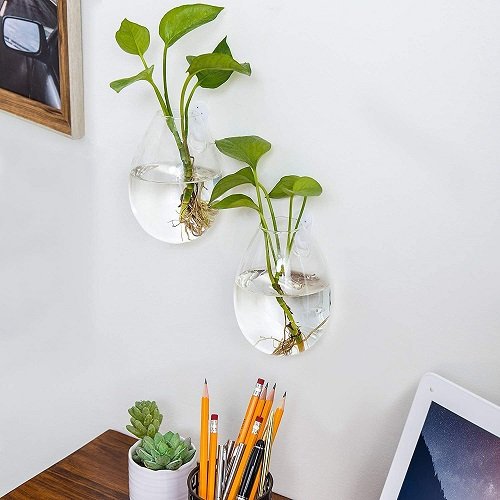 Ideas for Indoor Plants in Water Walls 