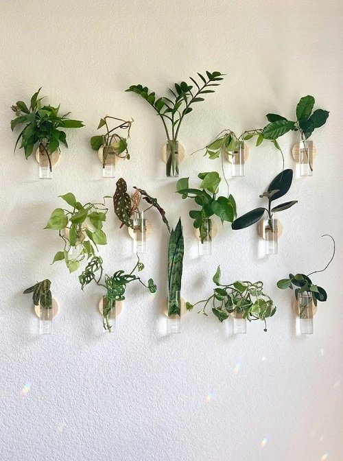 Ideas for Indoor Plants in Water Walls 5