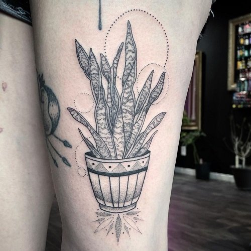 snake plant tattoo ideas 7