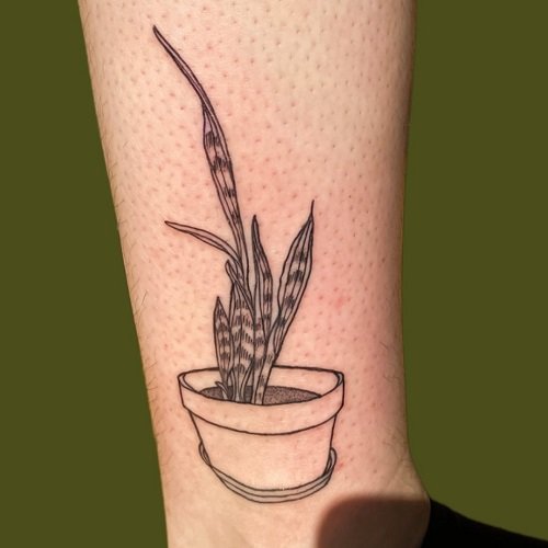 Snake plant tattoo ideas 8