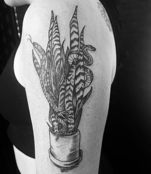 snake plant tattoos 7