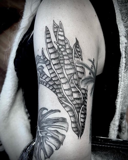 snake plant tattoos 9
