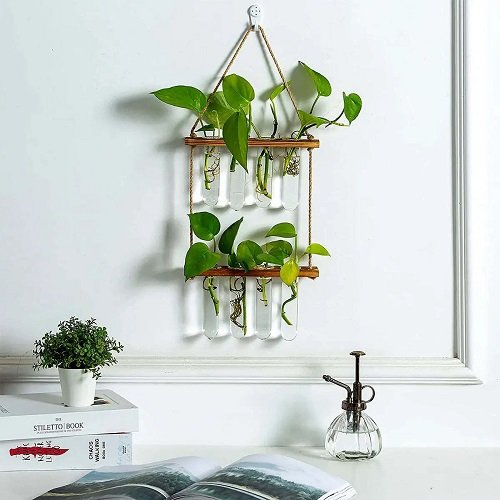 Ideas for Indoor Plants in Water Walls 2