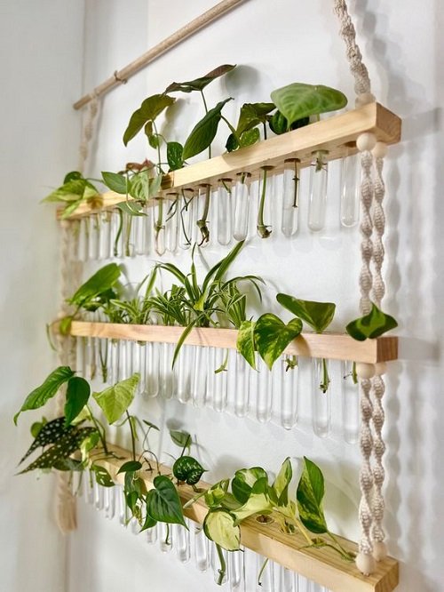 Water Wall Ideas with Indoor Plants 1