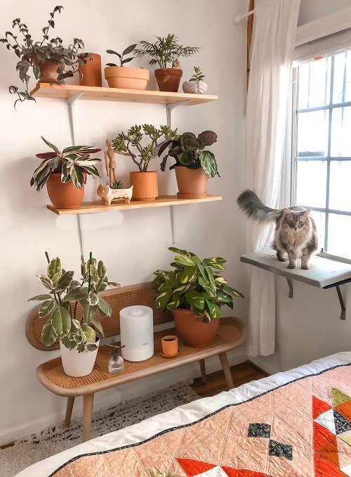 Amazing Ideas for Indoor Plant Decor2