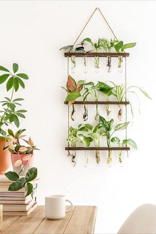 Ideas for Indoor Plants in Water Walls 4