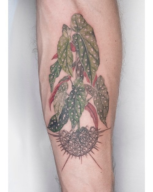 begonia tattoo design 4