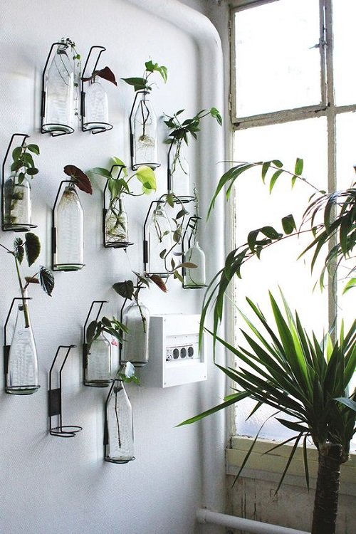 Water Wall Ideas with Indoor Plants 2