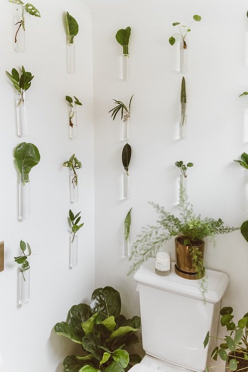 Ideas for Indoor Plants in Water Walls 3