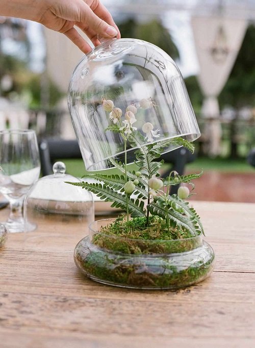 ferns in glass bowl