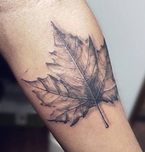Canadian Maple Leaf Tattoo - Best Tattoo Ideas Gallery