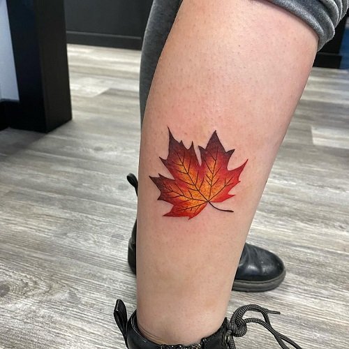 Vibrant Maple Leaf
