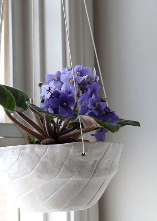 African Violets Display Ideas in hanging