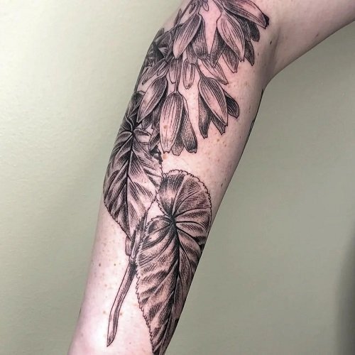begonia tattoo ideas 9