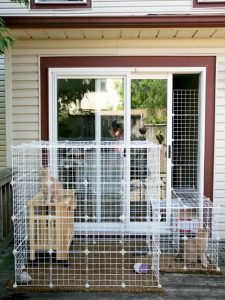 26 Best DIY Catio Ideas | Balcony Garden Web