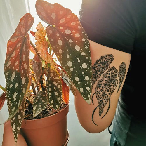begonia tattoo designs 7