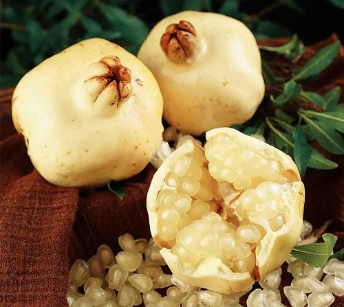 Growing Tips for White Pomegranates
