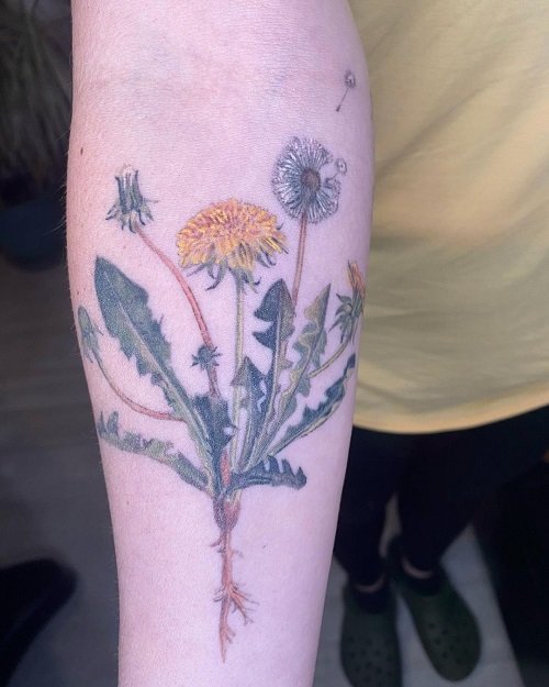 Dandelion Tattoo ideas 19